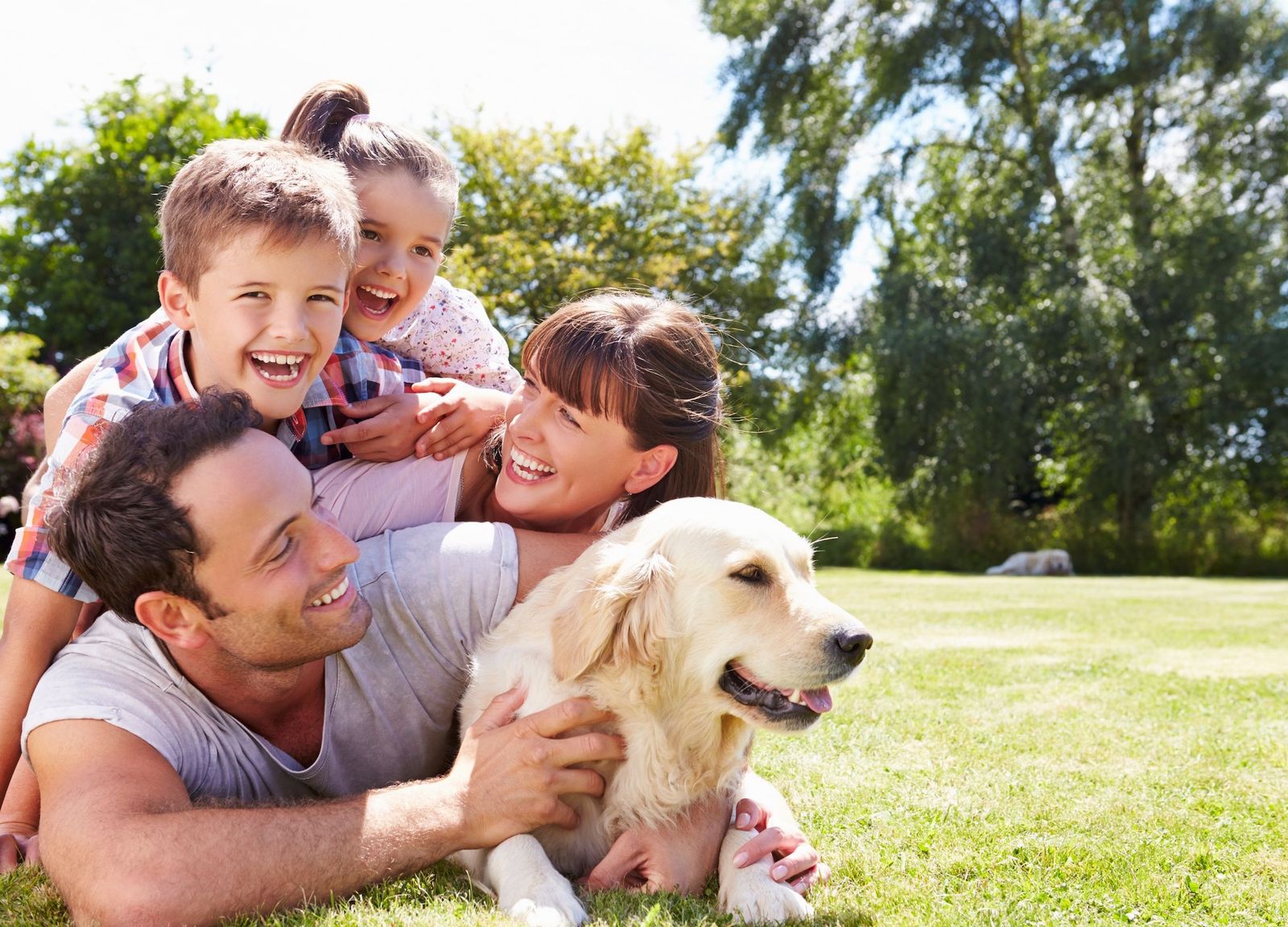 Why A Will Is Not A Suitable Option For Protecting Your Pet
